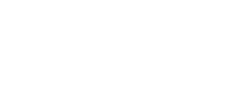 Demagnetica Natura Logo